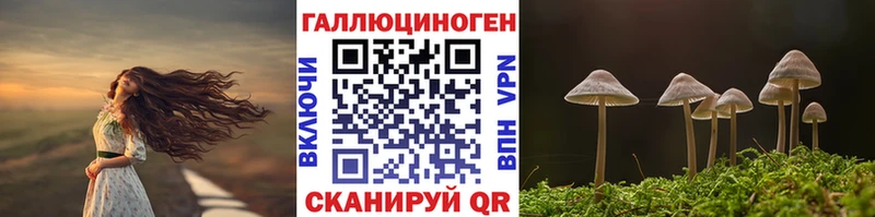 Купить где  Отрадный  Псилоцибиновые грибы прущие грибы 
